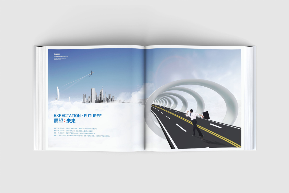 府谷县画册设计